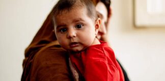 مور، بې بدیله مخلوق دی
