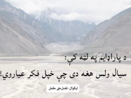 د پاراډایم په لټه کې: سیال ولس هغه دی چې خپل فکر عیاروي!